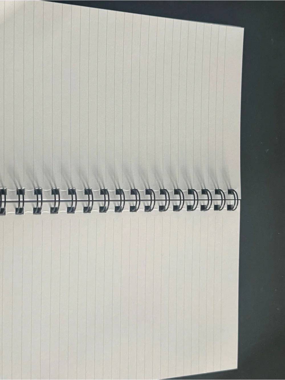 Coach Notebook Refill